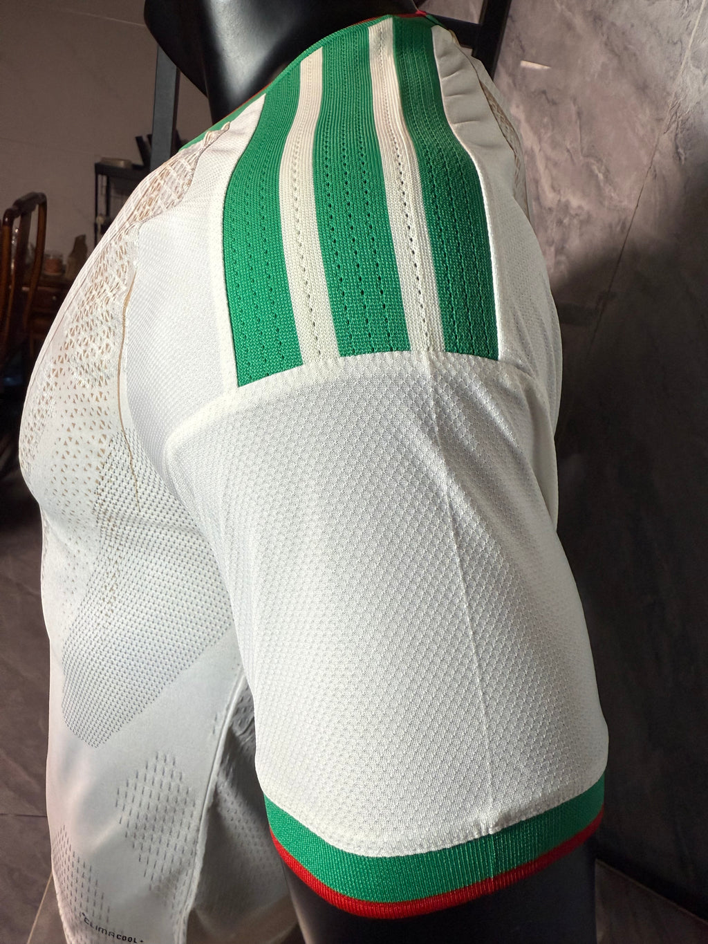 Algeria 2026/27 AFCON Home Star Shirt — Player Version — photo 10